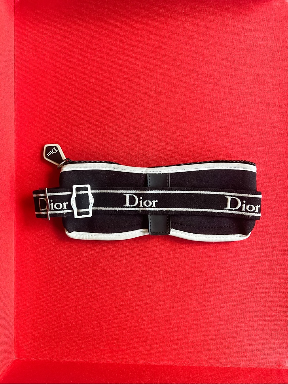 Vintage Dior Eyeglass Case 2000s Galliano Era - Picture 3 of 9